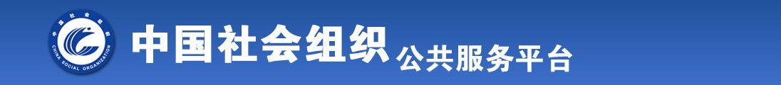 啊啊啊我逼逼疼的网站全国社会组织信息查询